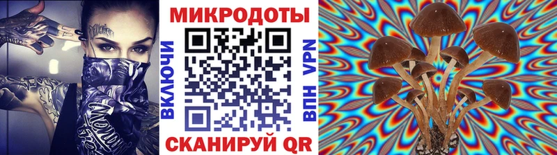 где купить наркоту  Канск  Галлюциногенные грибы Magic Shrooms 